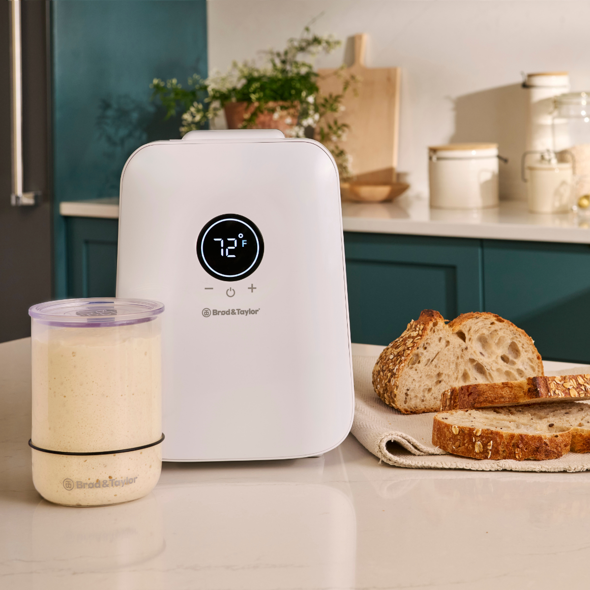 brod-taylor-starter-kit-levain-sourdough-home image 2