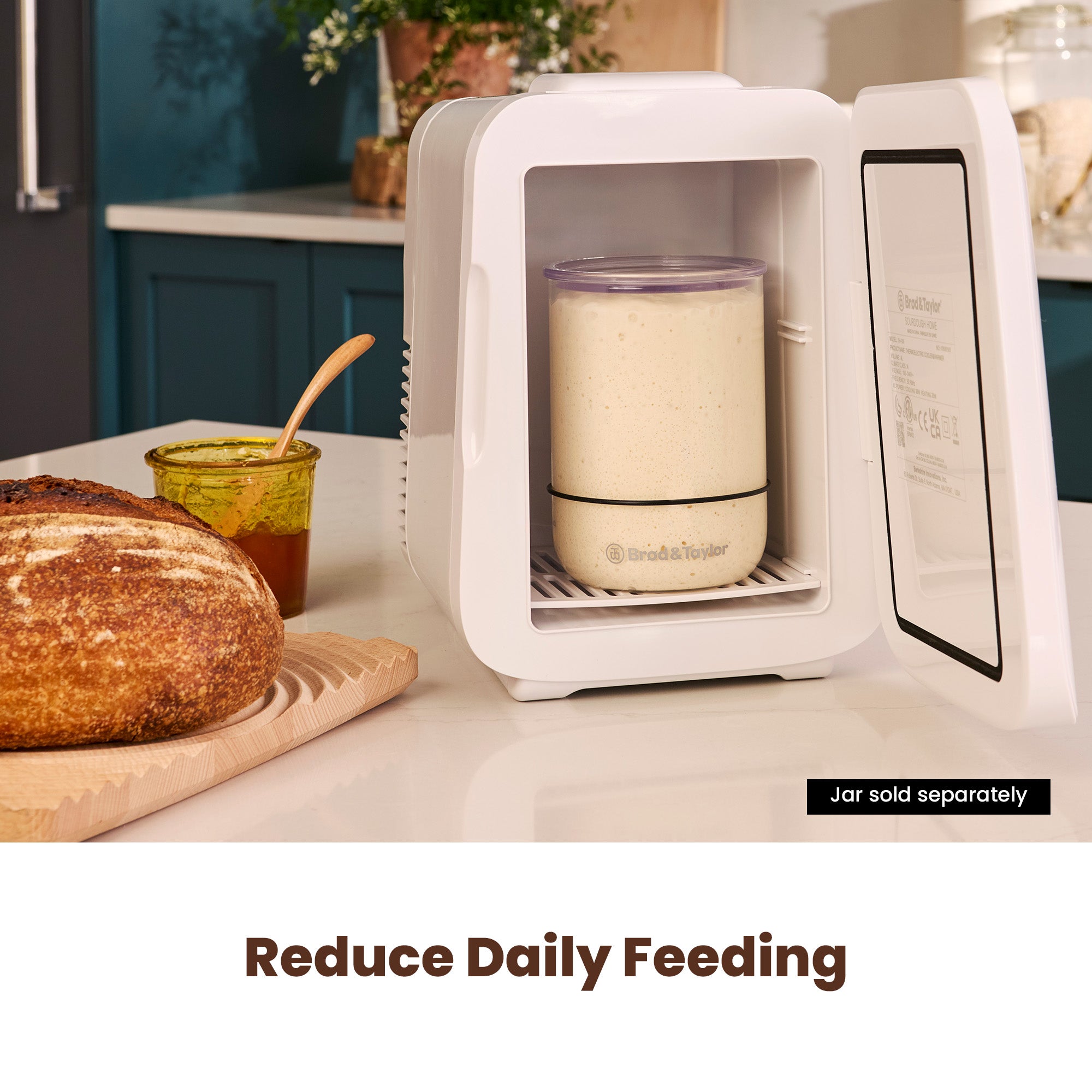 brod-taylor-starter-sourdough-home-tuve-levain image 3