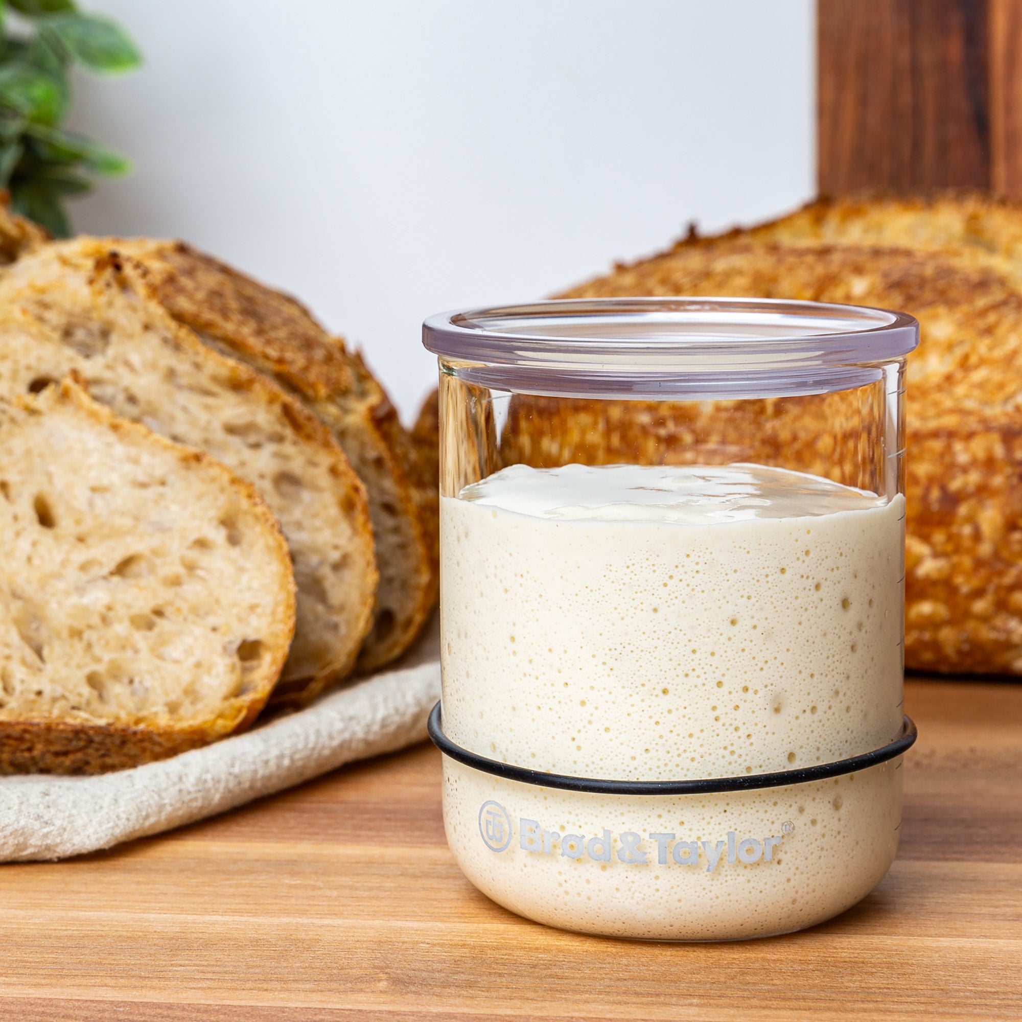 brod-taylor-starter-petit-bocal-levain-1-5-tasse image 3