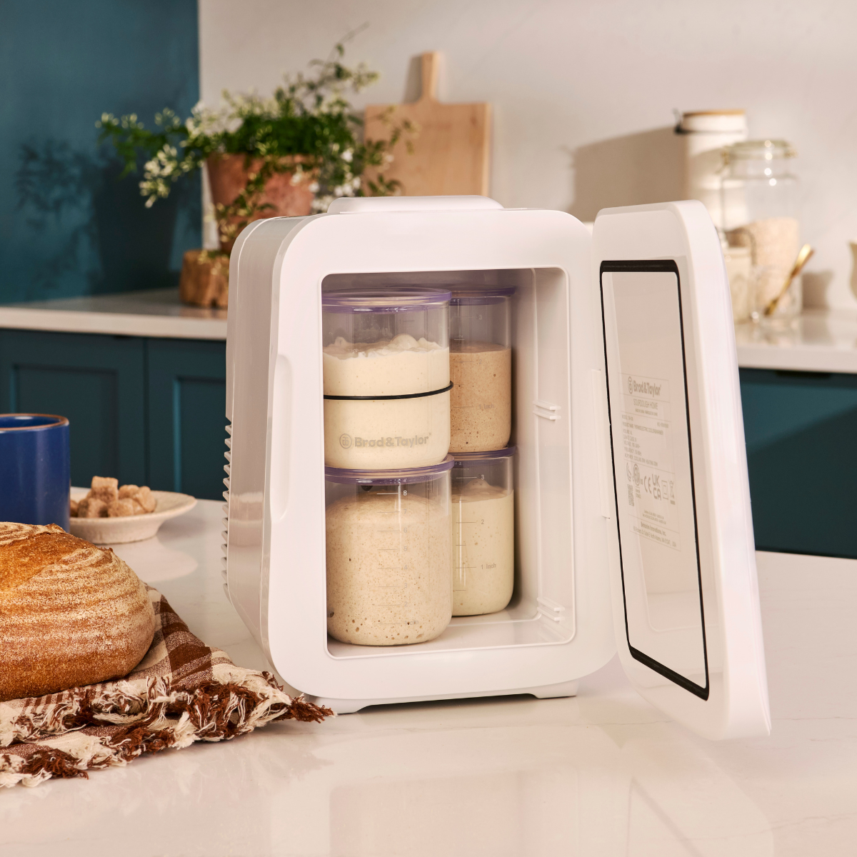 brod-taylor-starter-petit-bocal-levain-1-5-tasse image 4