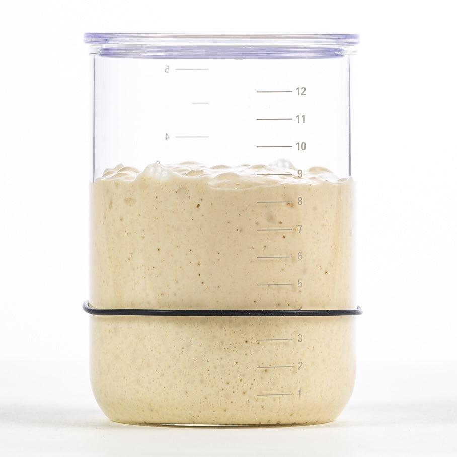 brod-taylor-starter-bocal-levain-verre-4-tasses-gradu image 2